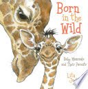 Born In The Wild Baby Mammals and Their Parents [Paperback] Judge, Lita