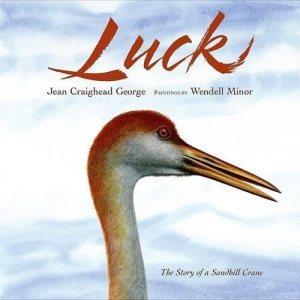 Luck (Outdoor Adventures) George, Jean Craighead and Minor, Wendell [Hardcover]