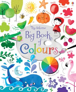Big Book Of Colours  (Hardcover) Brooks, Felicity