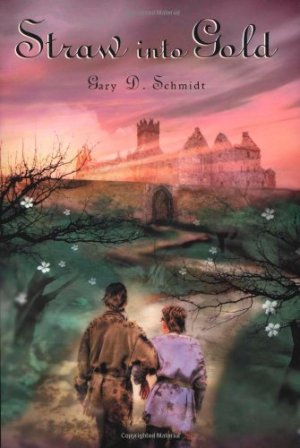 Straw into Gold Schmidt, Gary D.