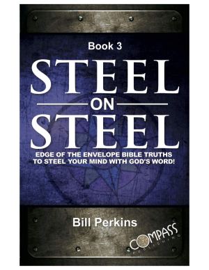 Steel on Steel Book 3 [Perfect Paperback] Bill Perkins