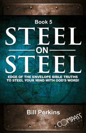 Steel on Steel Book 5 [Perfect Paperback] Bill Perkins