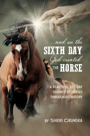 ...And On the Sixth Day God Created the Horse: A Beautiful 365-Day Journey Of Horses Throughout History [Paperback] Grunska, Sheri