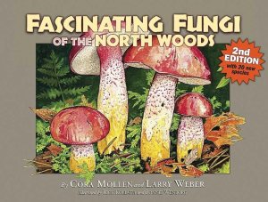 Fascinating Fungi of the North Woods [Paperback] Mollen, Cora