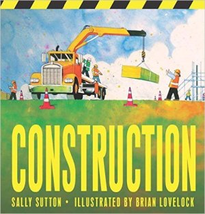 Construction [Paperback] Sally Sutton and Brian Lovelock