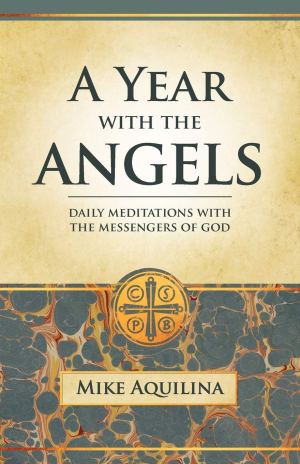 A Year With the Angels [Paperback] Aquilina, Mike