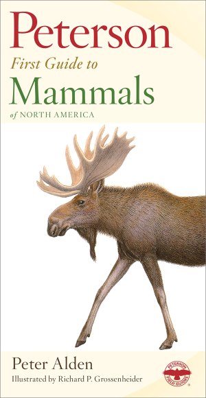Peterson First Guide To Mammals Of North America: An Easy and Condensed Wildlife Field Guide for Beginners [Paperback] Alden, Peter and Grossenheider, Richard Philip