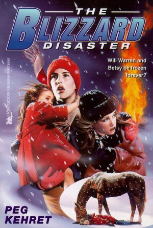 The Blizzard Disaster [Paperback] Kehret, Peg