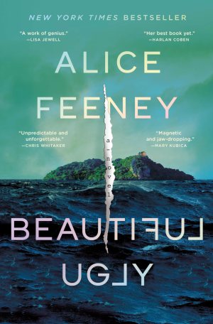 Beautiful Ugly: A Novel [Hardcover] Feeney, Alice