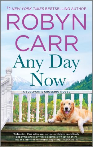 Any Day Now: A Sullivan’s crossing novel and the inspiration for the hit Netflix show [Mass Market Paperback] Carr, Robyn