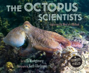 The Octopus Scientists (Scientists in the Field) [Paperback] Montgomery, Sy and Ellenbogen, Keith