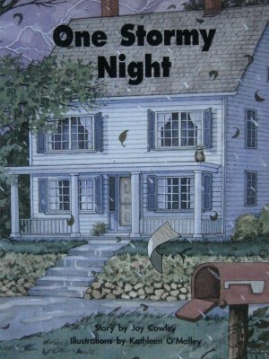 One Stormy Night [Paperback] JOY COWLEY